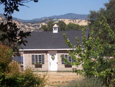 Vinyl Shed Cupola